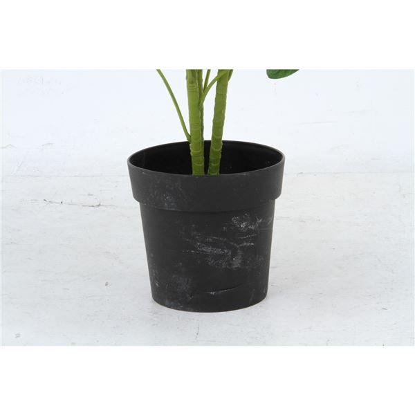 スーパSALE10倍&4時間限定10%OFF 観葉植物 造花 幅50×奥行50×高さ120cm ヤドリフカノキ インテリアグリーン リビング ダイニング インテリア雑貨【代引NG】