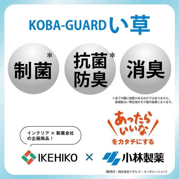 い草 枕/ピロー 約50×30cm ブルー 消臭 抗菌 防臭 小林製薬コバガード使用 シンプル ごろ寝 〔ベッドルーム リビング〕代引NG