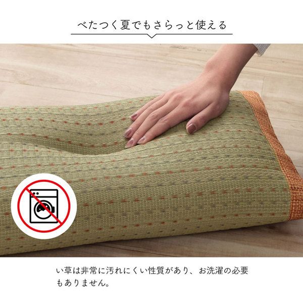 い草 枕/ピロー 約50×30cm ブルー 消臭 抗菌 防臭 小林製薬コバガード使用 シンプル ごろ寝 〔ベッドルーム リビング〕代引NG