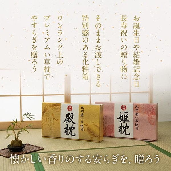 い草 枕/ピロー 約50×30cm 男性向け 日本製 ギフト 箱付き 抗菌防臭 消臭 〔ベッドルーム 寝室〕代引NG