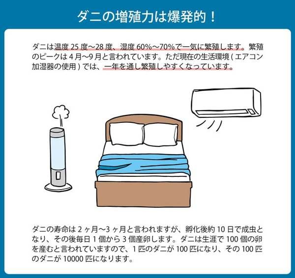 寝具 清潔 快適 敷き布団 ダニ増殖抑制 日本製 無地 シンプル シングル ベッド用 約95×195cm代引NG