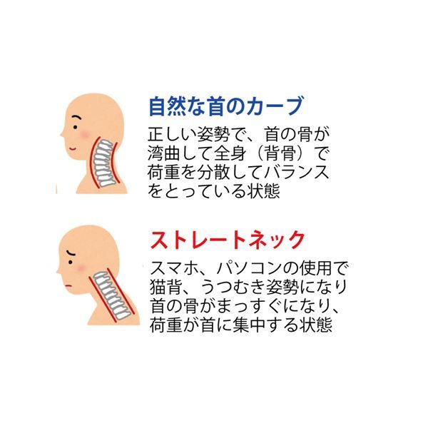 スーパSALE10倍&4時間限定10%OFF 枕 寝具 約35×65×18cm 日本製 ピローケース付き 整体師のふわもち枕 ベッドルーム 寝室 プレゼント 贈り物