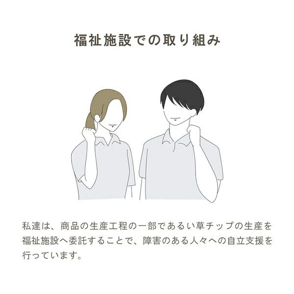 サスティナブル 自然素材 国産 い草 無垢 枕 ピロー 角枕 消臭 蒸れにくい ナチュラル 約35×15cm代引NG