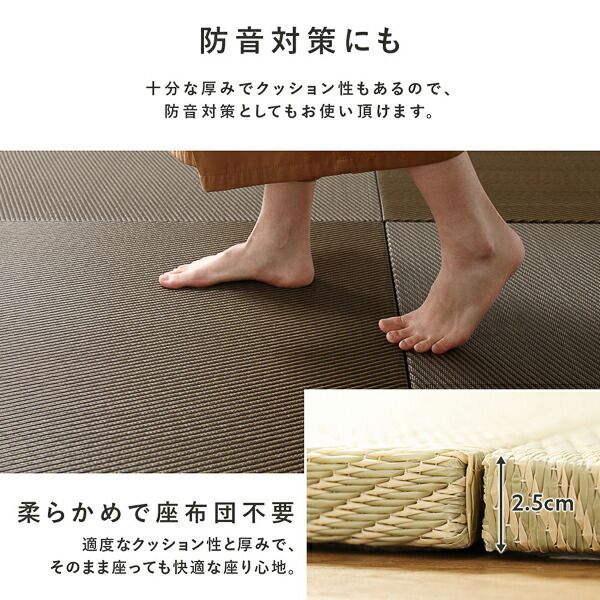 〔6枚セット〕 PP 置き畳 ユニット畳 約幅82×奥行82×高さ2.5cm ブラウン 樹脂畳 軽量 軽い 滑りにくい 裏面 滑り止めシート付き キズ防止 傷防止 耐久性 丈夫 頑丈 簡単設置 お手入れ簡単 水拭き可 畳マット インテリア家具 インテリア雑貨 リビング家具【代引不可】