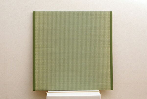 い草 ユニット畳/置き畳 【88×88×2.2cm 2枚1セット】 不織布 防滑 抗菌 防臭 調湿 消臭 〔リビング ダイニング〕【代引NG】