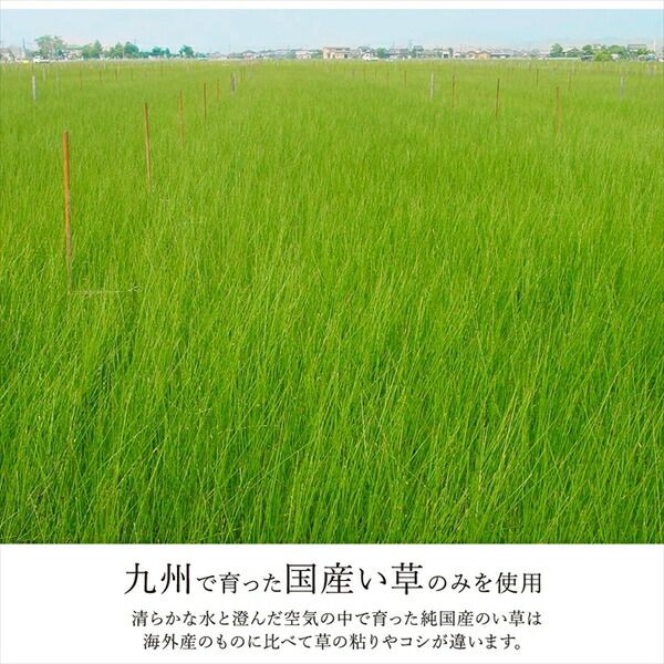 日本製 い草 ユニット畳/置き畳 【市松柄 ブラウン 約82×82×1.7cm 4枚1組】 軽量 防滑 抗菌 防臭 消臭 調湿 丈夫 システム畳 〔リビング〕【代引NG】