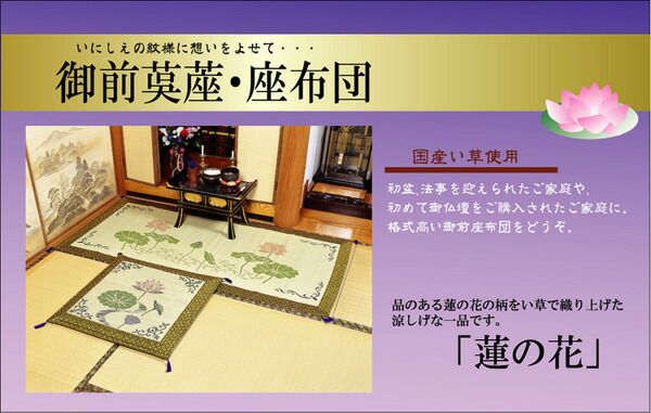 い草 御前 仏前 座布団 約70×70cm 袋織 日本製 仏間 和室 法事 法要 お盆 畳 リビング代引NG