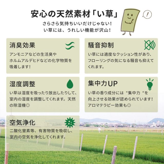 スーパSALE10倍＆4時間限定10％OFF い草上敷き 谷川 (たにがわ) 江戸間 8帖 8畳 引目織 い草カーペット 畳の保護 和室 いぐさ　たたみ