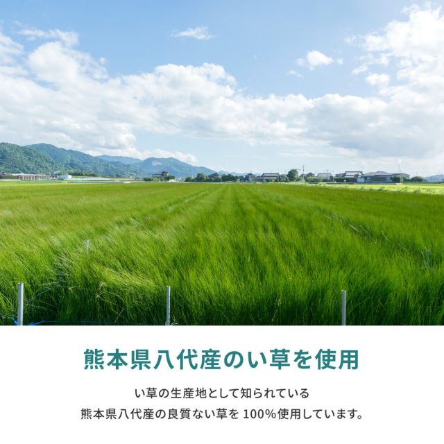 スーパSALE10倍＆4時間限定10％OFF 国産い草上敷 天草 (あまくさ) 江戸間 6帖 6畳 双目織 熊本のい草 畳の保護 いぐさ　たたみ