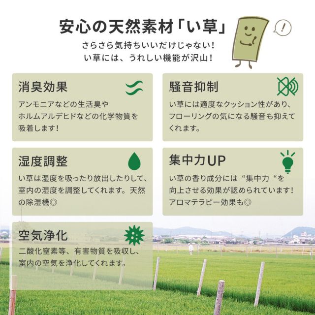 スーパSALE10倍＆4時間限定10％OFF 国産い草上敷 天草 (あまくさ) 江戸間 6帖 6畳 双目織 熊本のい草 畳の保護 いぐさ　たたみ
