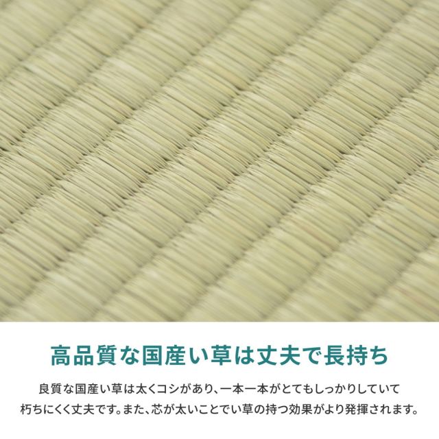 スーパSALE10倍＆4時間限定10％OFF 国産い草上敷 天草 (あまくさ) 団地間 8帖 8畳 双目織 熊本のい草 畳の保護 いぐさ　たたみ
