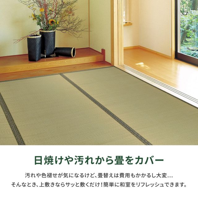 スーパSALE10倍＆4時間限定10％OFF い草上敷 柳川 (やながわ) 団地間 6帖 6畳 双目織 お手頃 リーズナブル 畳の保護 いぐさ　たたみ