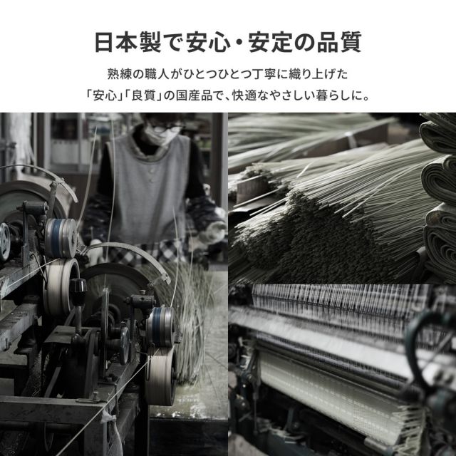 スーパSALE10倍＆4時間限定10％OFF 洗える い草風 カーペット ライアン 江戸間 1帖 1畳 PP ラグ ビニール風 上敷 ござ 畳の保護 いぐさ　たたみ