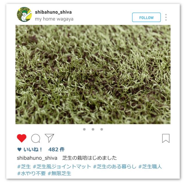 スーパSALE10倍＆4時間限定10％OFF 芝生風 ジョイントマット シーヴァ 約60×60cm 18枚入り 大判 サイドパーツ付き いぐさ　たたみ
