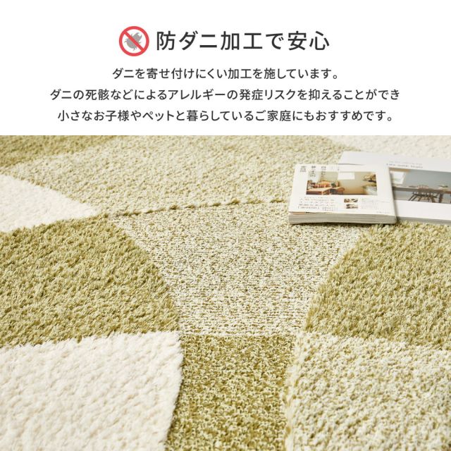 スーパSALE10倍＆4時間限定10％OFF 国産高機能ラグ ジャスト 約190×240cm 防ダニ 抗菌 防臭 抗ウイルス 消臭 花粉対策 日本製 いぐさ　たたみ