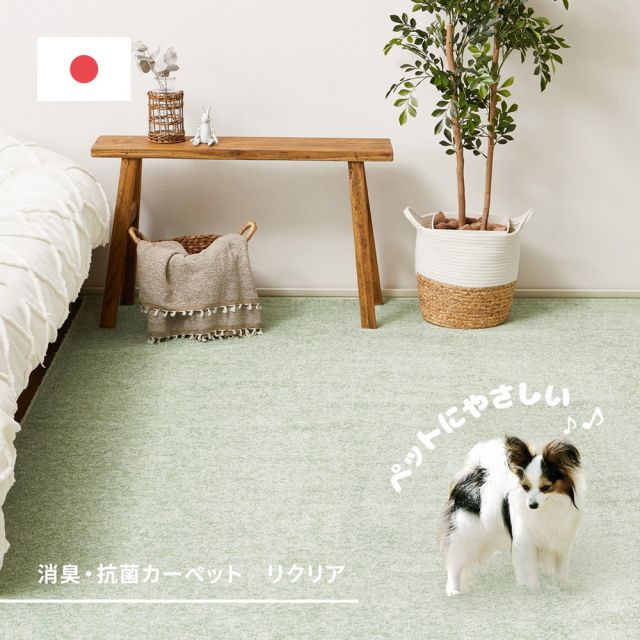 スーパSALE10倍＆4時間限定10％OFF 敷き詰めカーペット リクリア 江戸間6帖 6畳 消臭 抗菌 防臭 ペット 日本製 いぐさ　たたみ