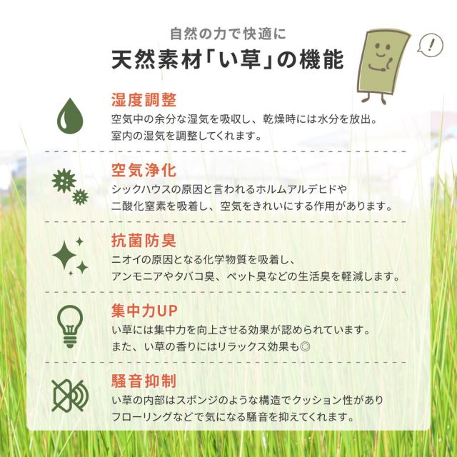 スーパSALE10倍＆4時間限定10％OFF 国産 い草ラグ 栄山 約191×191cm 裏貼り 滑り止め加工 センターラグ アクセントラグ モダン いぐさ　たたみ
