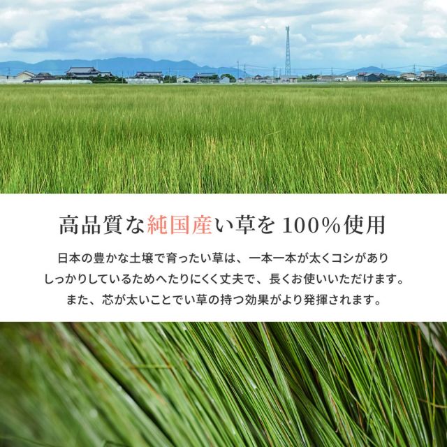 スーパSALE10倍＆4時間限定10％OFF 国産 い草ラグ 栄山 約261×261cm 裏貼り 滑り止め加工 江戸間4.5帖 4.5畳 い草カーペット 上敷き 花ござ モダン いぐさ　たたみ