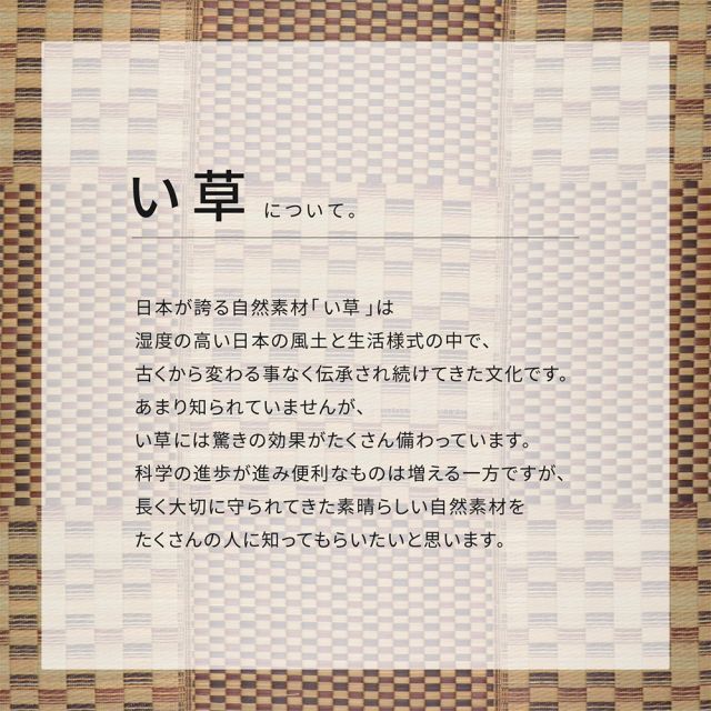 スーパSALE10倍＆4時間限定10％OFF はっ水 い草ラグ キハチ 約240×240cm 撥水 抗カビ 折りたためる コンパクト 滑り止め付き いぐさ　たたみ