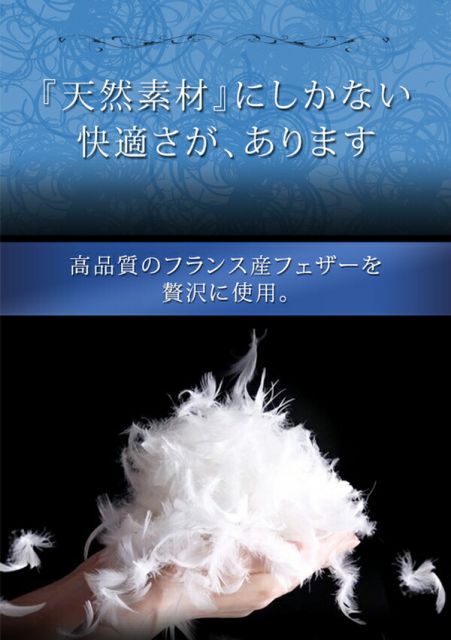 スーパSALE10倍＆4時間限定10％OFF MITAS寝具SELECT フランス産フェザー羽根布団8点セット ベッドタイプ Plume プルーム ダブル10点セット