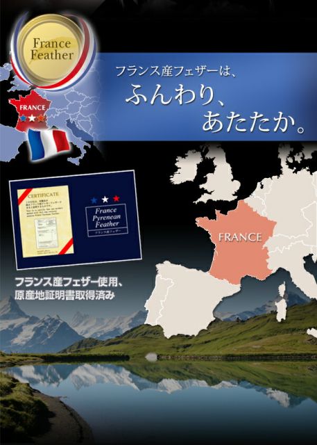 スーパSALE10倍＆4時間限定10％OFF MITAS寝具SELECT フランス産フェザー羽根布団8点セット ベッドタイプ Plume プルーム ダブル10点セット
