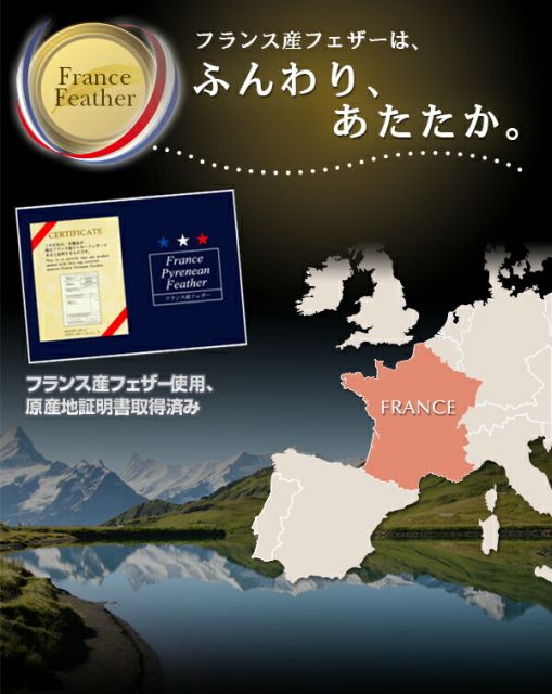 スーパSALE10倍＆4時間限定10％OFF MITAS寝具SELECT フランス産フェザー羽根布団8点セット 和タイプ シングル8点セット