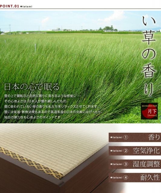 スーパSALE10倍＆4時間限定10％OFF 照明・棚付き畳収納ベッド シングル