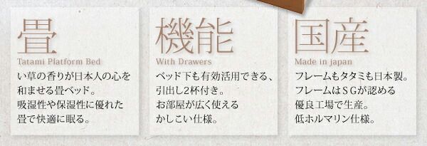 スーパSALE10倍＆4時間限定10％OFF モダンデザイン畳収納ベッド シングル