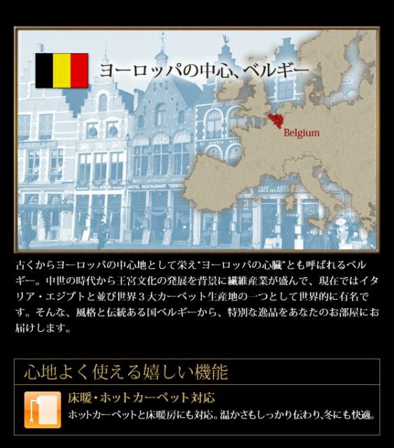 スーパSALE10倍＆4時間限定10％OFF ラグ ベルギー製ウィルトン織りヒョウ柄ラグ 120×160cm