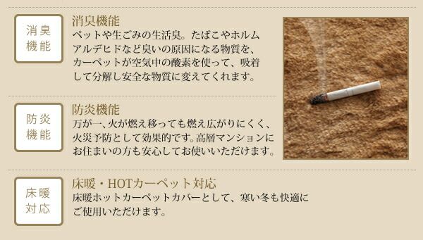 スーパSALE10倍＆4時間限定10％OFF ラグ 防ダニ・消臭・防炎・抗アレルギー機能付きフェイクファーラグ 200×250cm
