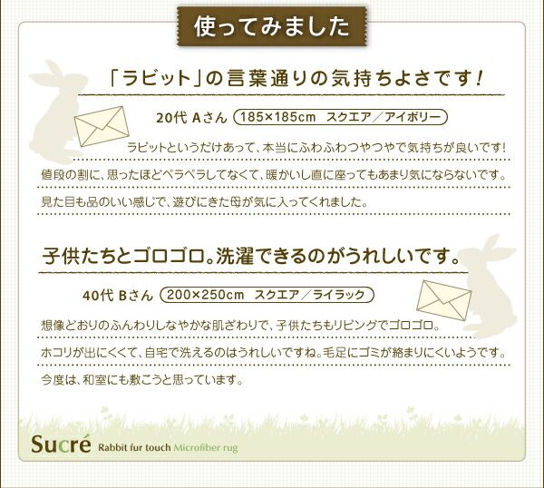 スーパSALE10倍＆4時間限定10％OFF ラグ ラビットファータッチマイクロファイバーラグ 長方形 200×250cm