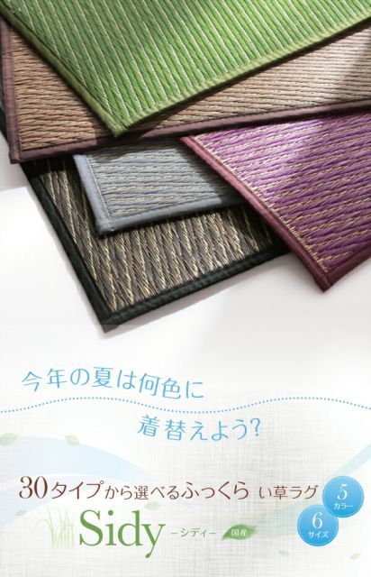 スーパSALE10倍＆4時間限定10％OFF 自然素材ラグ 30タイプから選べる国産ふっくらい草ラグ 140×200cm