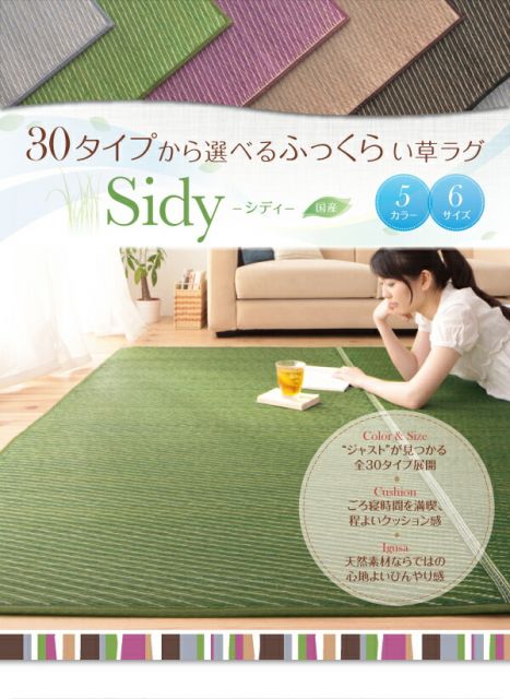 スーパSALE10倍＆4時間限定10％OFF 自然素材ラグ 30タイプから選べる国産ふっくらい草ラグ 140×200cm