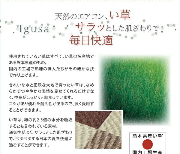 スーパSALE10倍＆4時間限定10％OFF 自然素材ラグ 厚みが選べる3タイプ 純国産ブロック柄い草ラグ ウレタンなし 261×352cm