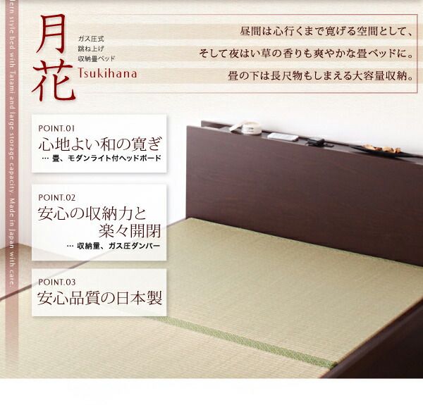 スーパSALE10倍＆4時間限定10％OFF お客様組立 照明・棚付きガス圧式跳ね上げ収納畳ベッド 標準タイプ 縦開き・ベッドガードなし シングル 深さラージ