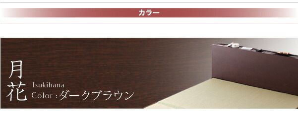 スーパSALE10倍＆4時間限定10％OFF お客様組立 照明・棚付きガス圧式跳ね上げ収納畳ベッド 標準タイプ 縦開き・ベッドガード付き シングル 深さラージ
