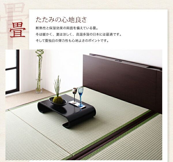 スーパSALE10倍＆4時間限定10％OFF お客様組立 照明・棚付きガス圧式跳ね上げ収納畳ベッド 国産タイプ 縦開き・ベッドガードなし セミダブル 深さレギュラー
