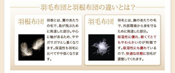 スーパSALE10倍＆4時間限定10％OFF MITAS寝具SELECT 羽毛布団 羽毛ふとん 掛け布団 9色から選べる!羽毛布団 掛布団単品 ダックタイプ クイーン