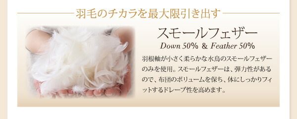スーパSALE10倍＆4時間限定10％OFF MITAS寝具SELECT 極厚布団 9色から選べる 羽毛布団 10点セット プレミアム敷布団タイプ グース 極厚ボリュームタイプ ダブル10点セット