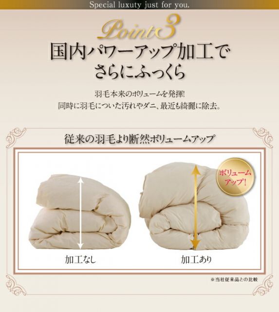 スーパSALE10倍＆4時間限定10％OFF MITAS寝具SELECT 極厚布団 ポーランド産ダック90% ロイヤルゴールドラベル羽毛布団8点セット プレミアム敷布団 ボリュームタイプ シングル8点セット