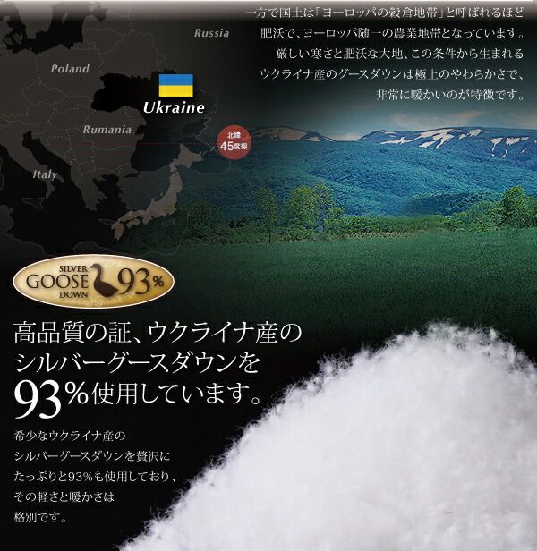 スーパSALE10倍＆4時間限定10％OFF MITAS寝具SELECT 羽根布団 日本製ウクライナ産グースダウン93% ロイヤルゴールドラベル羽毛掛布団単品 シングル