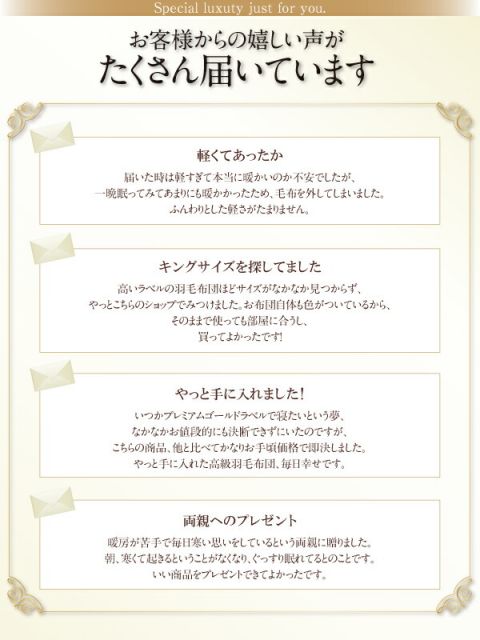 スーパSALE10倍＆4時間限定10％OFF MITAS寝具SELECT 羽根布団 最高級羽毛93%ポーランド産グースダウン プレミアムゴールドラベル 羽毛掛布団 セミダブル