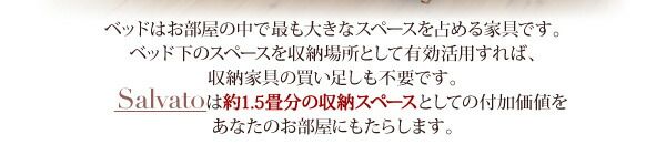 スーパSALE10倍＆4時間限定10％OFF 日本製_棚・コンセント付き大容量すのこチェストベッド 薄型スタンダードボンネルコイルマットレス付き セミダブル