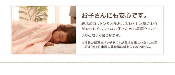スーパSALE10倍＆4時間限定10％OFF 365日きもちいい ふっくらキルト仕立ての洗えるコットンタオルラグ 防ダニ・抗菌防臭わた入 ラグ すっきりタイプ 185×240cm