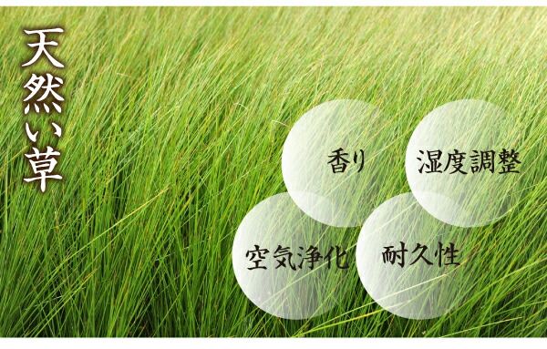 スーパSALE10倍＆4時間限定10％OFF 高さが変えられる棚・照明・コンセント付き畳ベッド セミダブル