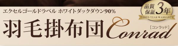 スーパSALE10倍＆4時間限定10％OFF 羽根布団 エクセルゴールドラベル ホワイトダックダウン90%羽毛掛布団 クイーン
