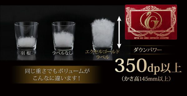 スーパSALE10倍＆4時間限定10％OFF 羽根布団 エクセルゴールドラベル ホワイトダックダウン90%羽毛掛布団 クイーン