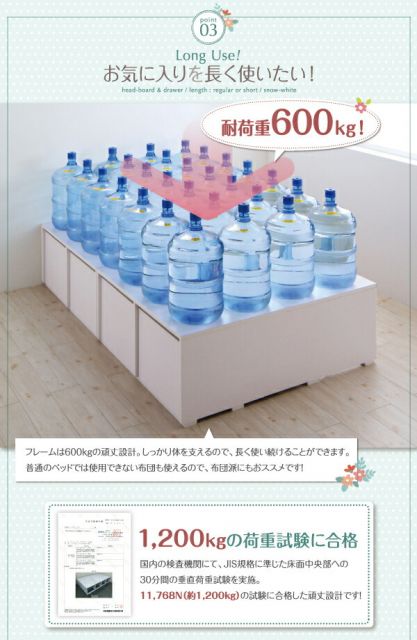 衣装ケースも入る大容量収納ベッド 薄型プレミアムポケットコイルマットレス付き 引出し2杯 シングル