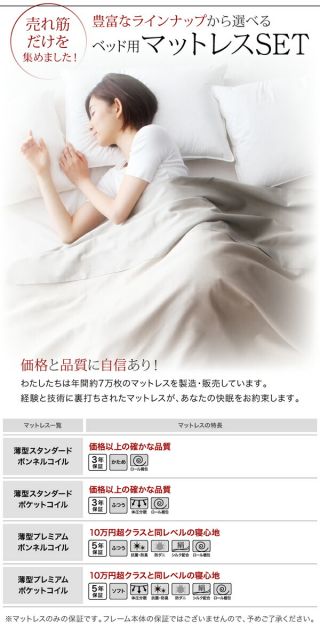 大容量収納庫付きベッド 薄型プレミアムボンネルコイルマットレス付き 深型 ホコリよけ床板 シングル