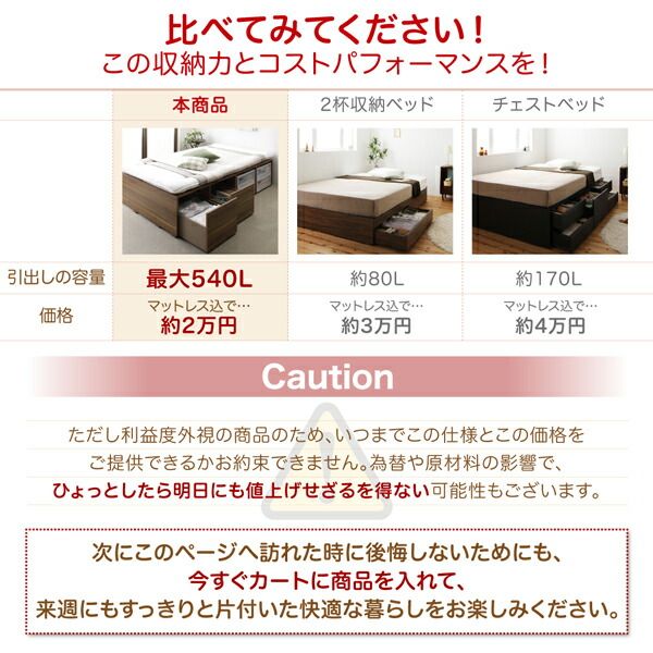 ベッド 収納付きベッド フィッツ マットレス付き 収納 収納付 収納ベッド 大容量 収納ボックス 引き出し 布団 敷き布団 おしゃれ 薄型プレミアムポケットコイルマットレス付 引出し2杯 ロータイプ シングル
